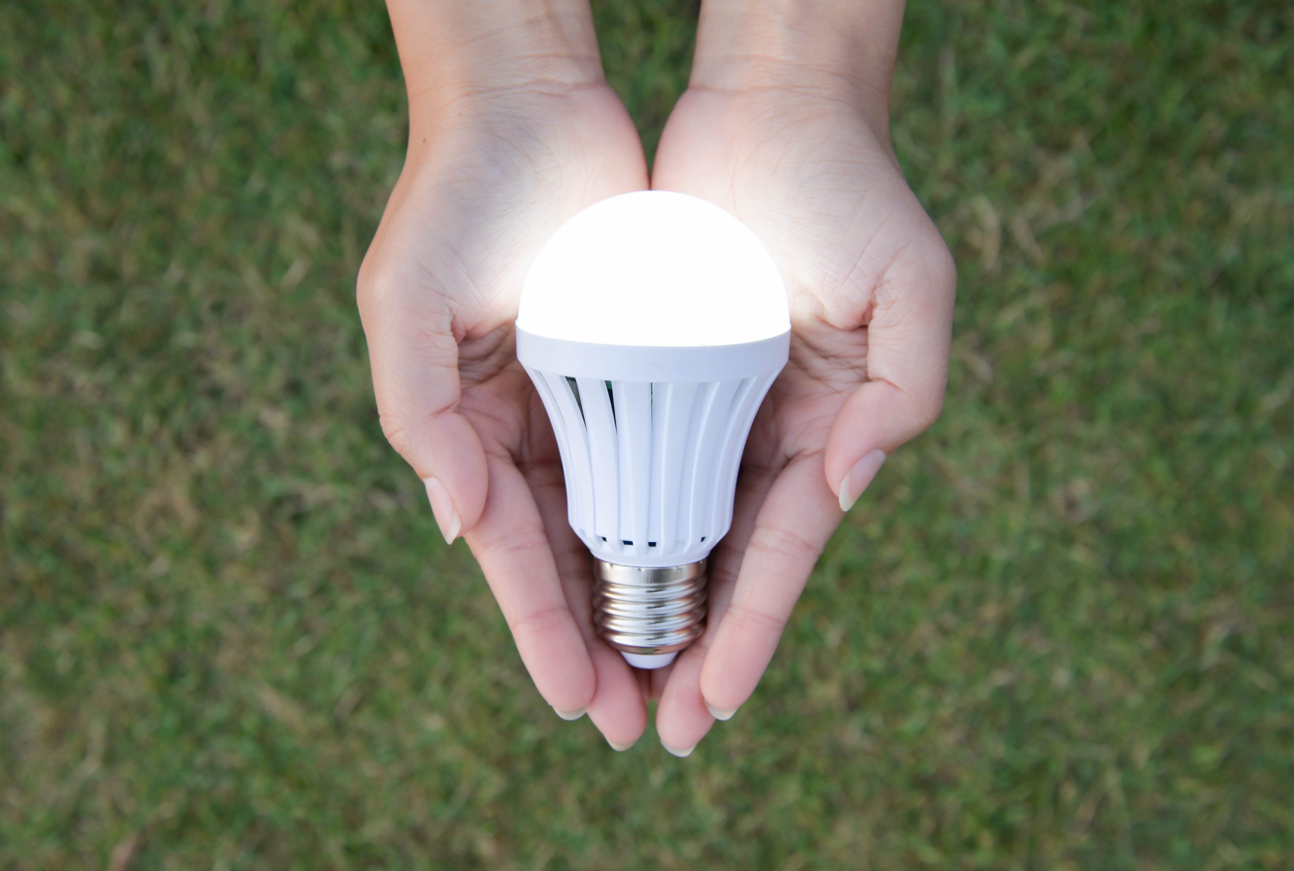 LED lighting tips Hands holding a glowing LED light bulb over a grassy background.